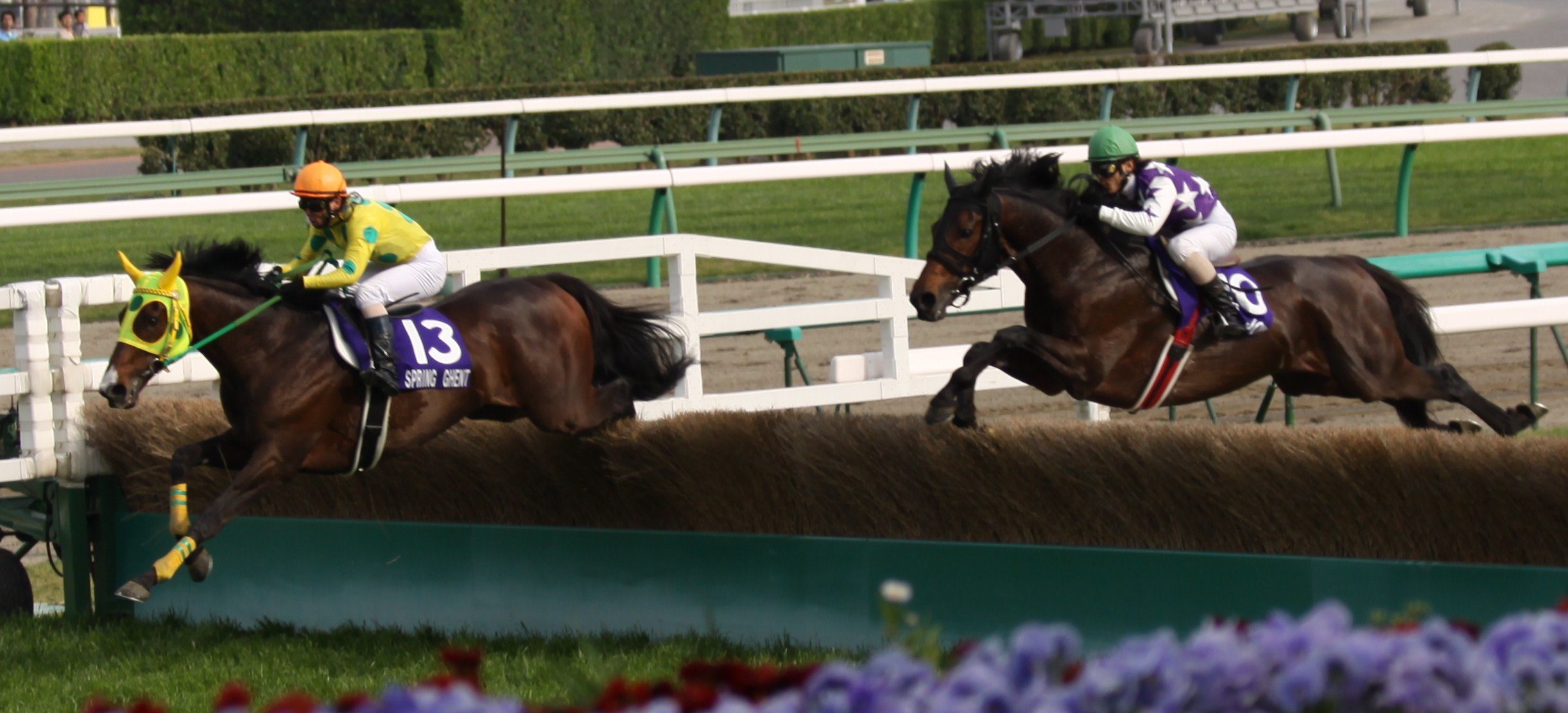 🏇 나카야마 경마장 이미지 11